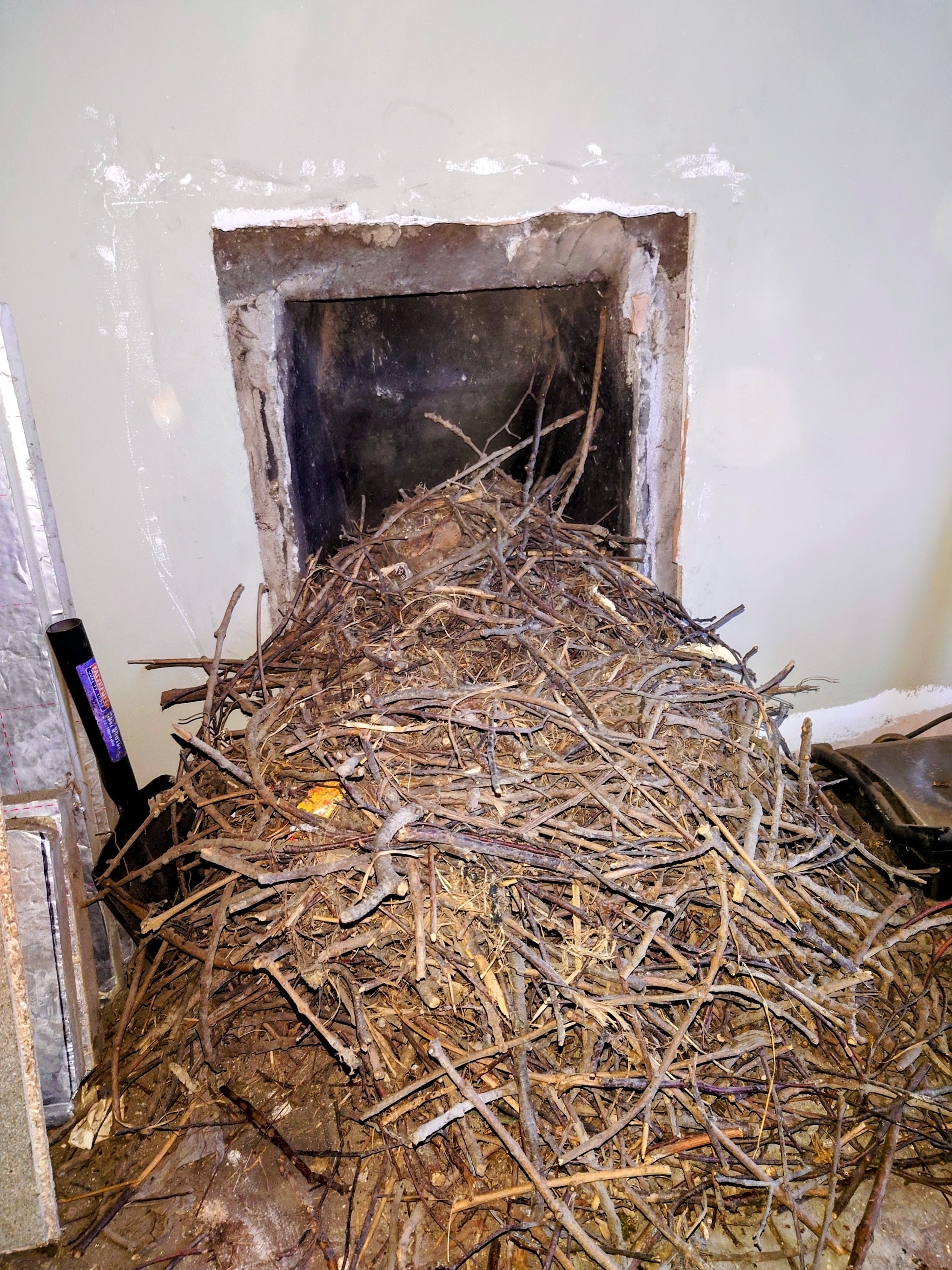 A huge pile of nest twigs pulled out of an opened-up fireplace